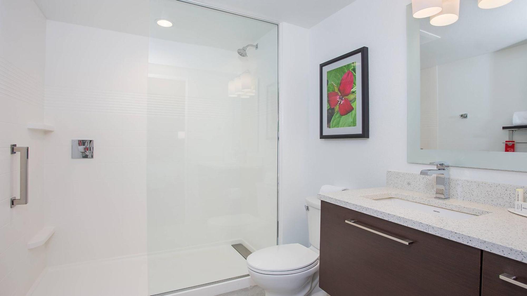 Towneplace Suites By Marriott Knoxville אוק רידג' מראה חיצוני תמונה